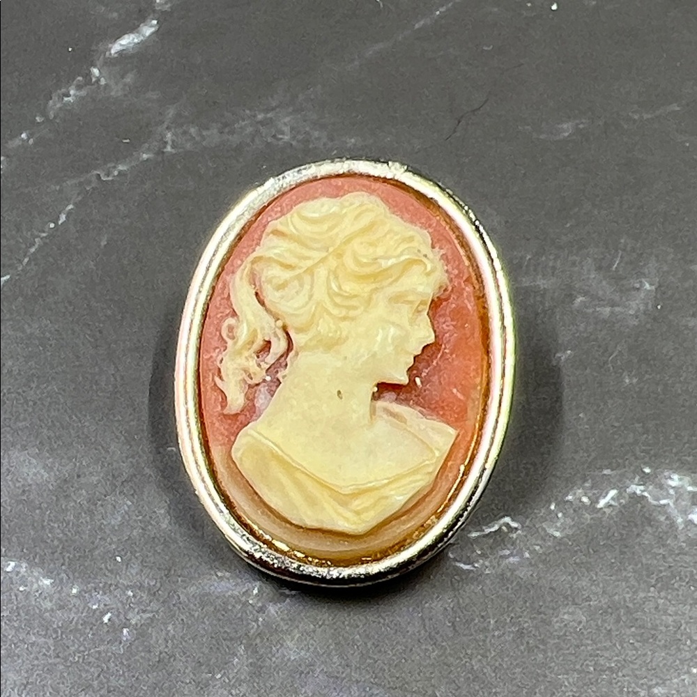 Vintage 1950’s Cameo Pin